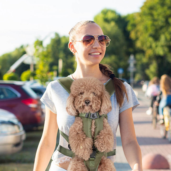 Komfortabler Hundetragetasche Rucksack für Wanderungen, sicher & bequem für kleine Hunde.