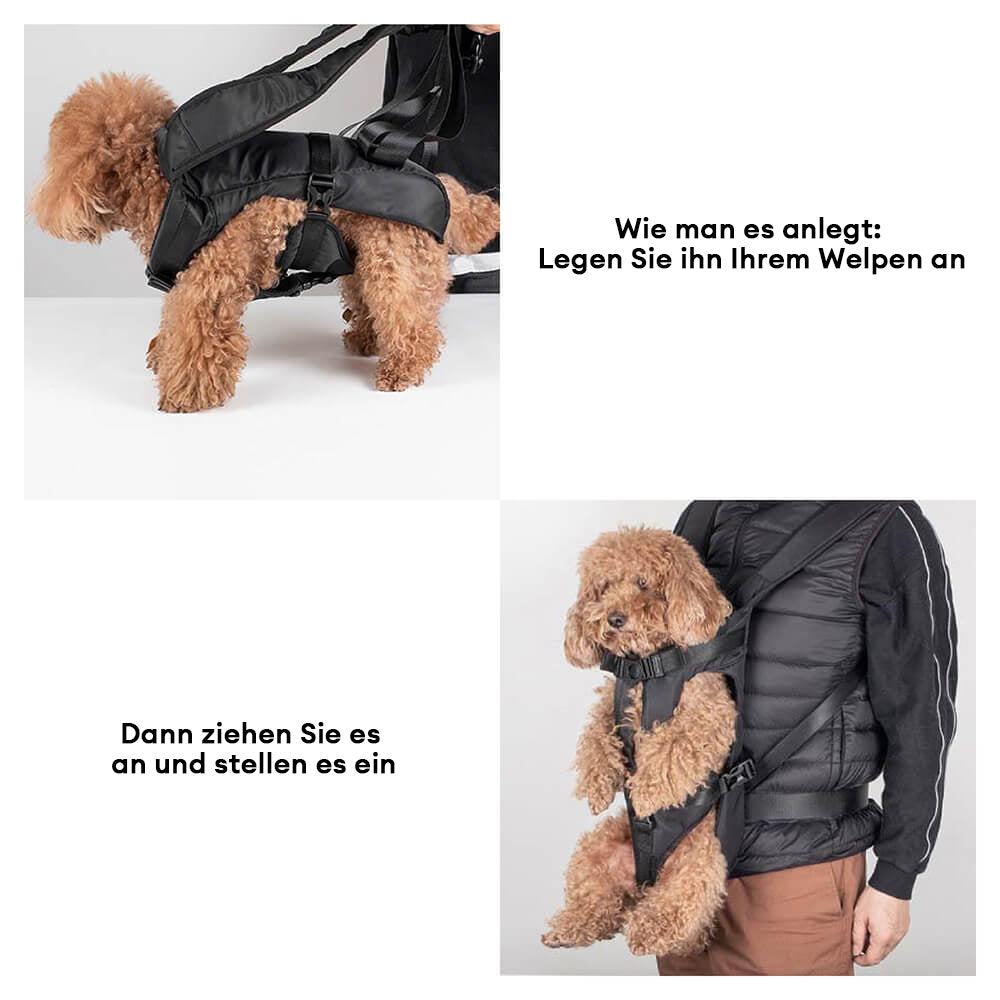 Moderner Hundetransportrucksack in Grau, sicher und stilvoll für alle Ihre Abenteuer.