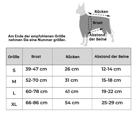 Praktischer Haustiertrage-Rucksack, geeignet für kleine bis mittelgroße Hunde beim Wandern.