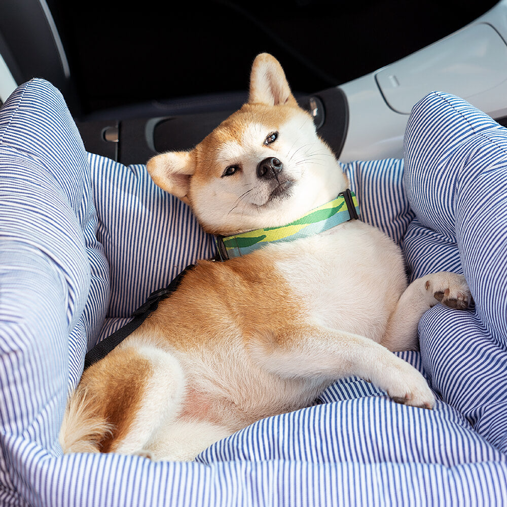 Praktisches TravelPaw Hundenest: ein Muss für jede Autofahrt mit Hund. Komfortables Hundebett & Autozubehör.