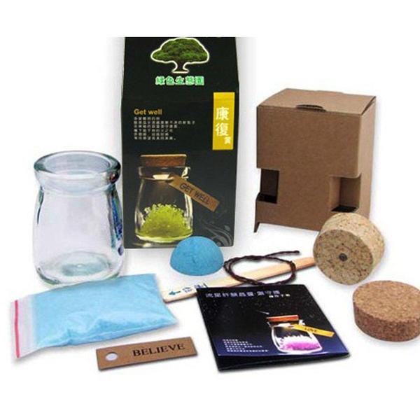 DIY Kristallzucht-Set für Kinder & Erwachsene. Erschaffe einen Wunschkristall mit persönlicher Bedeutung. Wissenschaftsspielzeug.