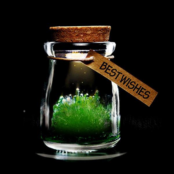 Kristallzucht-Set: Wissenschaft & Magie für persönliche Botschaften. DIY-Bastelset für leuchtende Wunschkristalle.