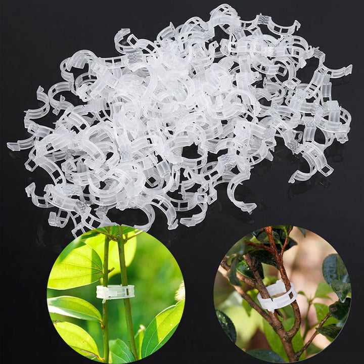 Vielseitige 2,5 cm Pflanzenstützklammern aus Kunststoff, wiederverwendbar für Garten, Gemüse & Blumen.