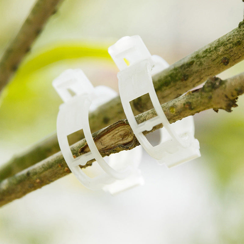 Robuste Pflanzenclips aus Kunststoff, 2,5 cm Durchmesser, ideal für Rankpflanzen & Gemüse.