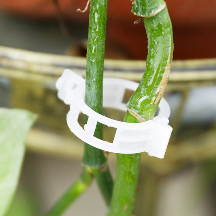 Grüne Pflanzenstützklammern für Tomaten & Gurken, 2,5 cm, wiederverwendbare Rankhilfe.