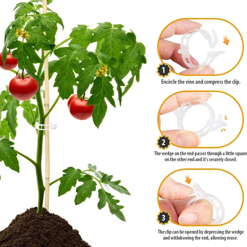 Tomatenclips aus robustem Kunststoff, 2,5 cm Durchmesser, wiederverwendbar für kräftige Pflanzen.