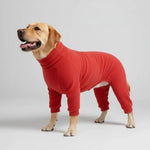 Rot