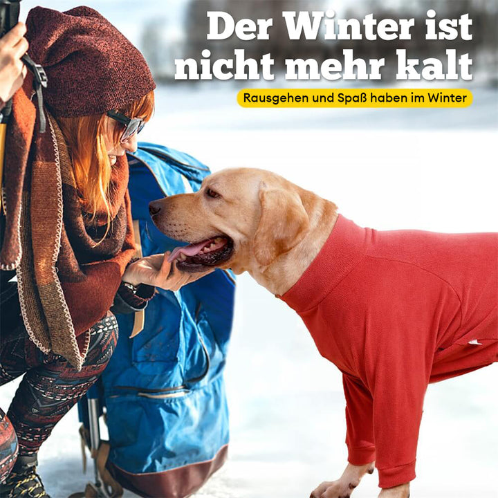 Hundepyjama in XL, kuschelige Hundekleidung für große Hunde, die Wärme und Komfort lieben.
