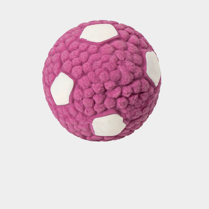 Quietschender Latex Sportball, ideales Hundespielzeug für aktive Hunde & langanhaltenden Spielspaß.