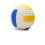 Volleyball - Weiß