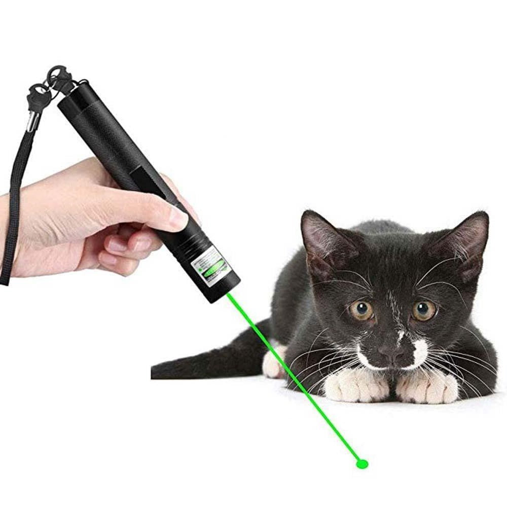 Heller grüner Laserpointer PrecisionBeam für optimale Sichtbarkeit bei Outdoor, Hobby und Astronomie.