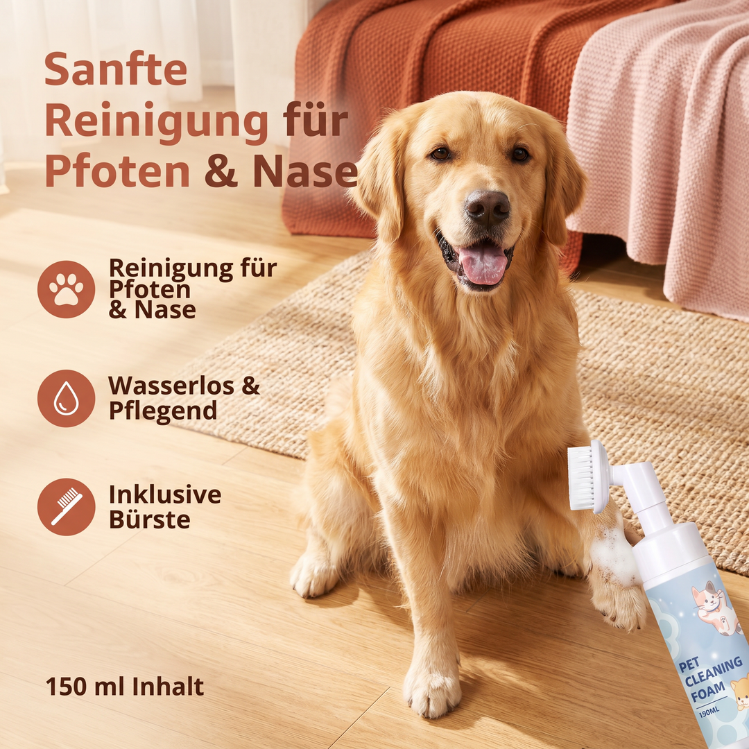 Für saubere Hundepfoten: Sanfter Reinigungsschaum & Bürste für wasserlose Reinigung. Wichtig für die Tiergesundheit.