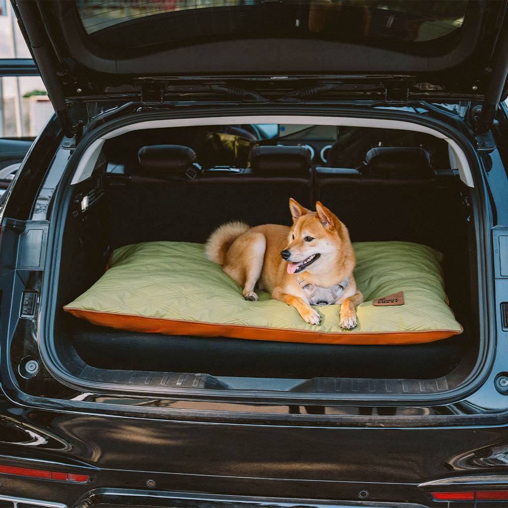 Ganzjährige Haustierliegematte, beruhigend & wasserabweisend, perfekt für jeden Hund.