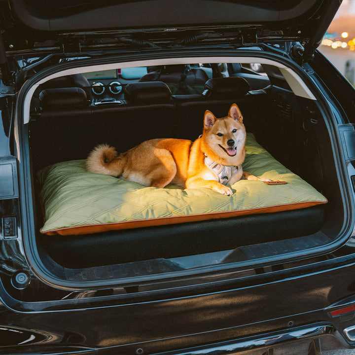 Hochwertige Hundematte, beidseitig nutzbar, luxuriöser Schlafplatz für Haustiere.