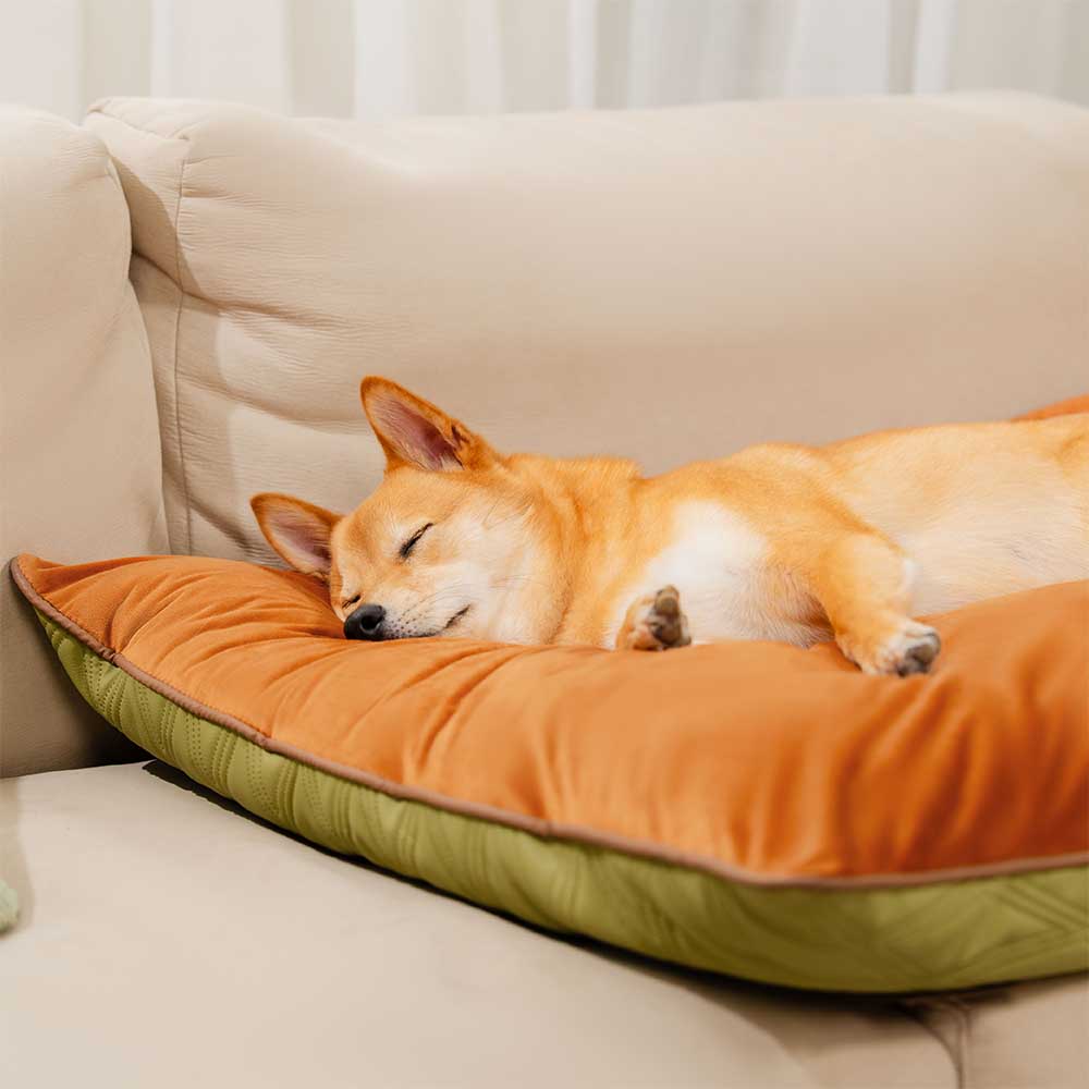 Komfortable Hundematte aus Kunstleder, wasserabweisend, wendbar mit Kuschelfleece.