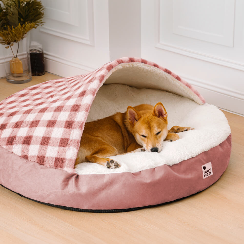 Exklusives Hundebett: Baldachin und Plüsch bieten Ihrem Hund einen luxuriösen und gemütlichen Rückzugsort.