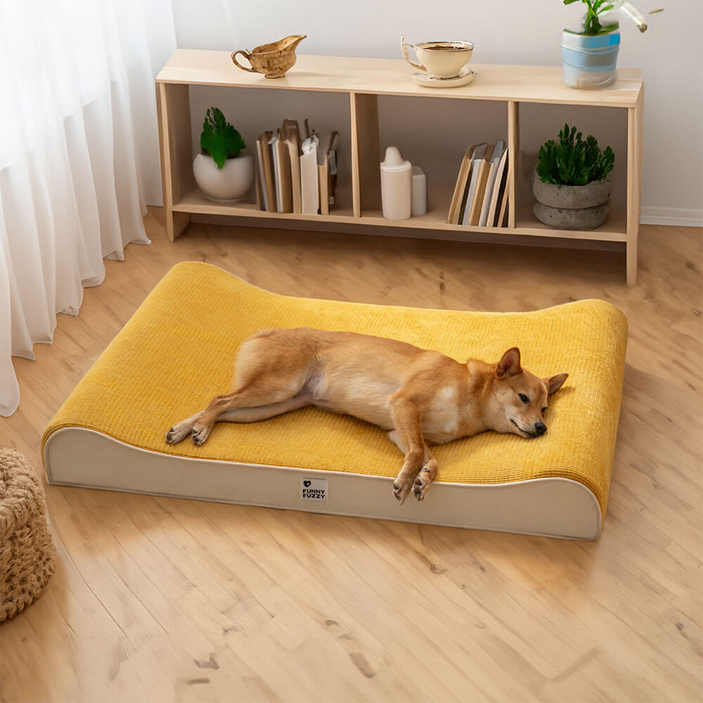 Luxuriöses orthopädisches Hundebett, wasserdicht & gelenkschonend, für optimalen Komfort und Entspannung des Hundes.