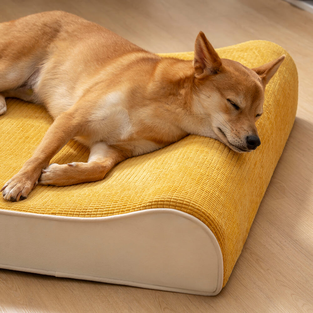 Orthopädisches Tierbett in modernem Design, komfortable Lounge für Hunde, pflegeleicht & robust, ideal zur Entspannung.