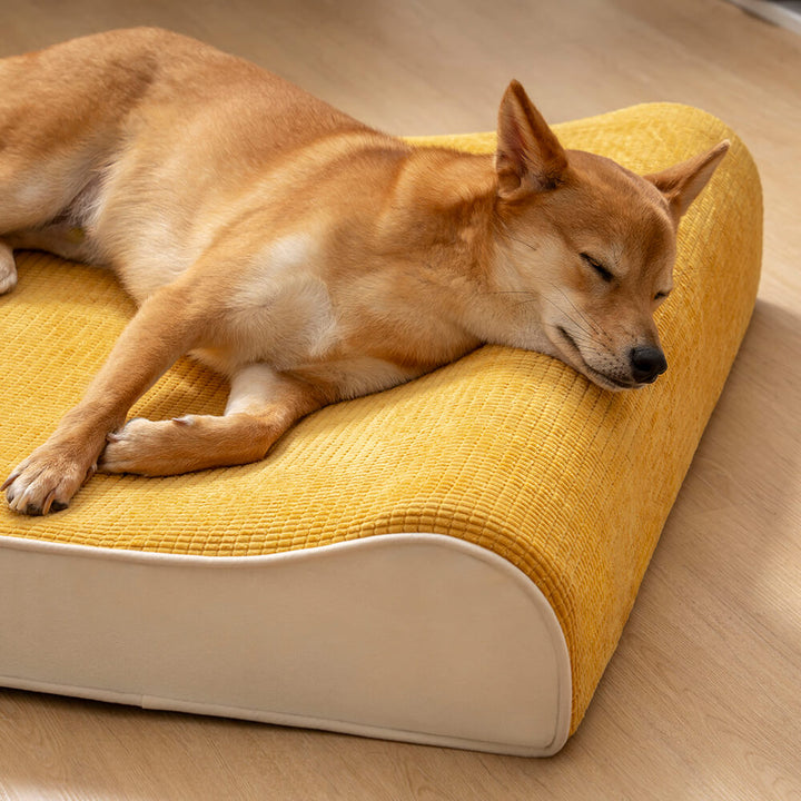 Orthopädisches Tierbett in modernem Design, komfortable Lounge für Hunde, pflegeleicht & robust, ideal zur Entspannung.