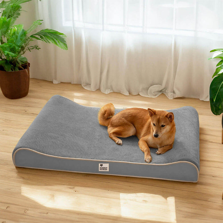 Gelenkschonendes orthopädisches Hundebett, hohe Qualität, unterstützt gesunden Schlaf und Wohlbefinden Ihres Hundes.