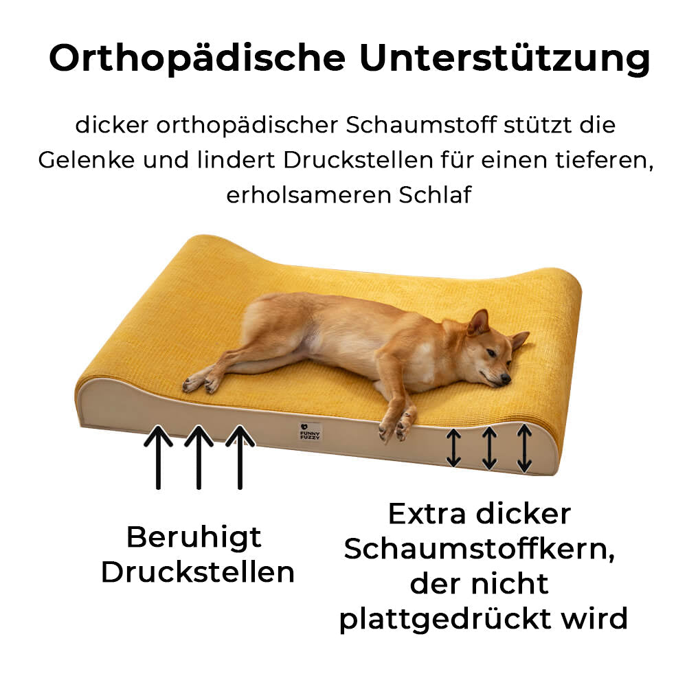 Glücklicher Hund entspannt auf luxuriösem orthopädischem Hundebett, bietet komfortable Gelenkunterstützung.