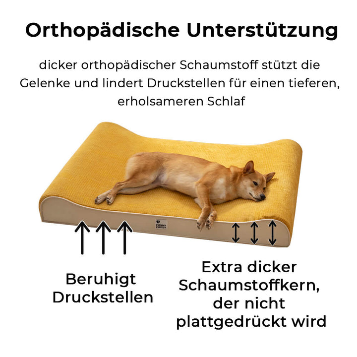 Glücklicher Hund entspannt auf luxuriösem orthopädischem Hundebett, bietet komfortable Gelenkunterstützung.