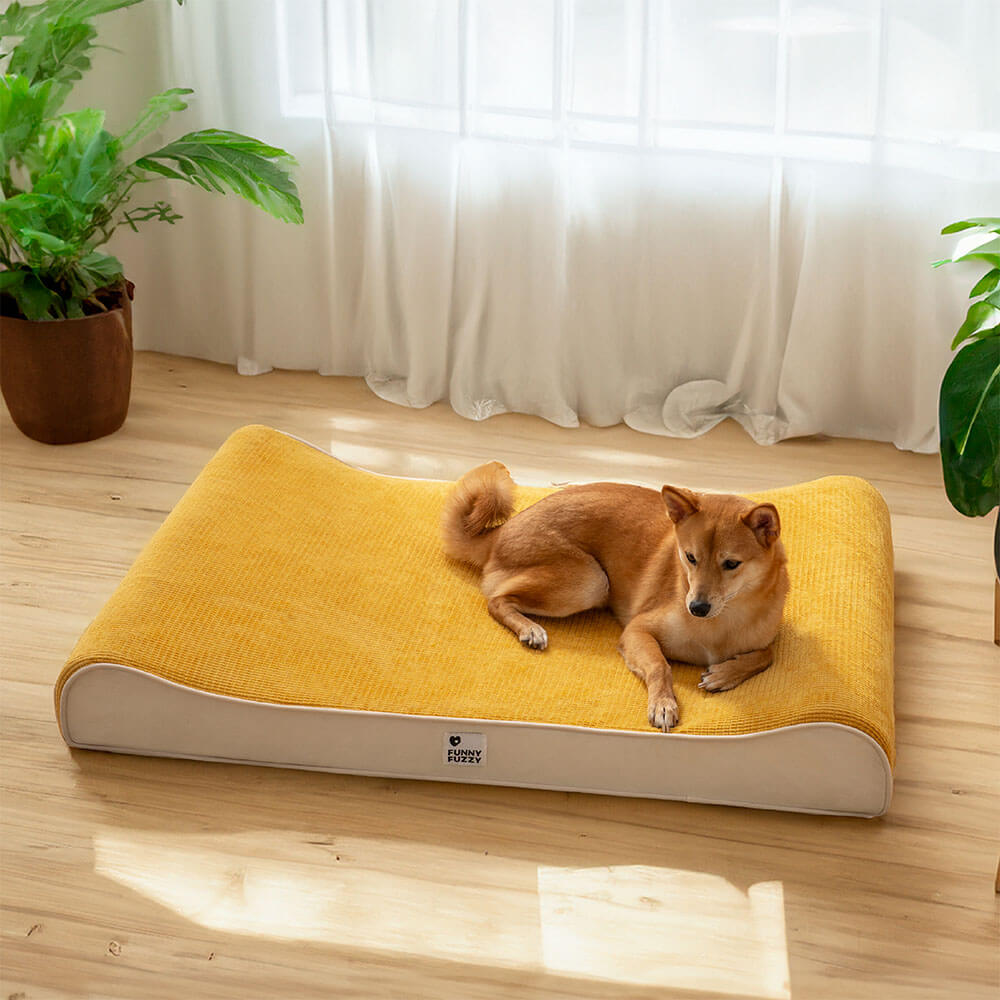 Orthopädisches Hundebett mit erhöhtem Rand, ergonomisches Design für maximalen Komfort und sichere Entspannung des Tieres.