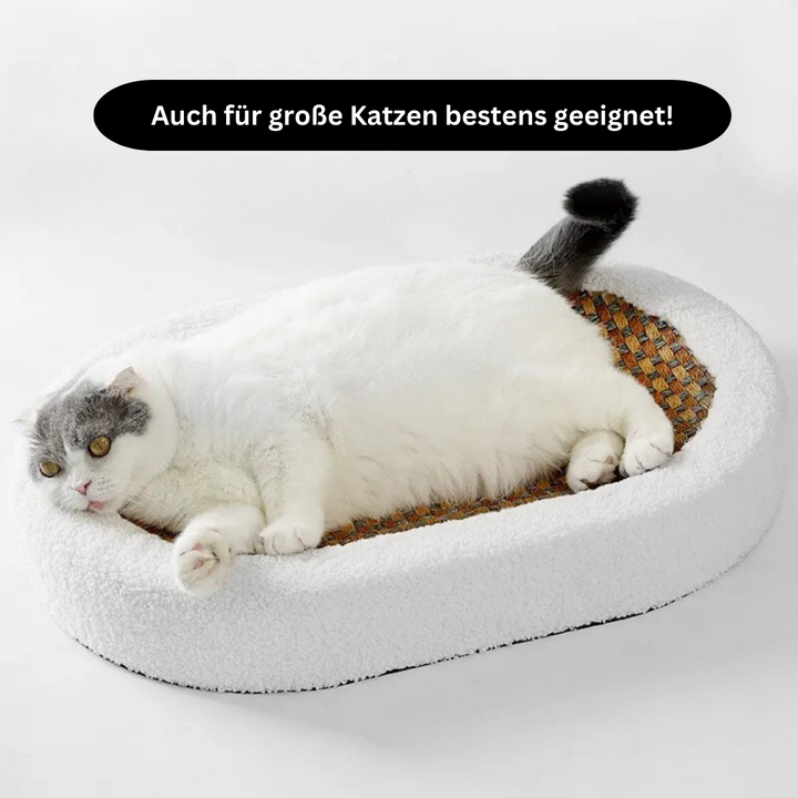 Modernes Katzenbett aus robustem Material mit Kratzmatte. Bietet Katzenliegeplatz & schützt Möbel.