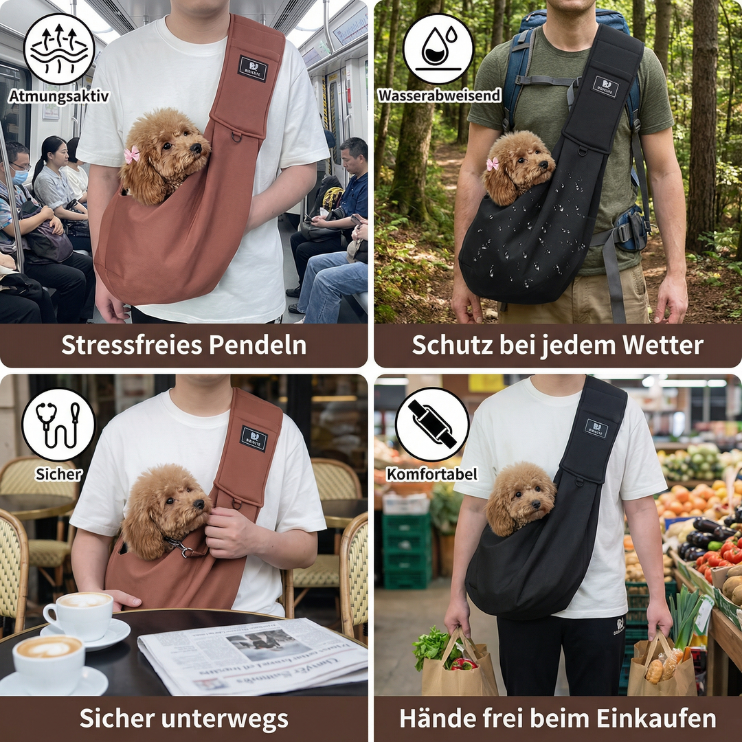 Glücklicher Hund blickt aus dem Hunde-Rucksack, genießt die Aussicht bei einer Outdoor-Wanderung.