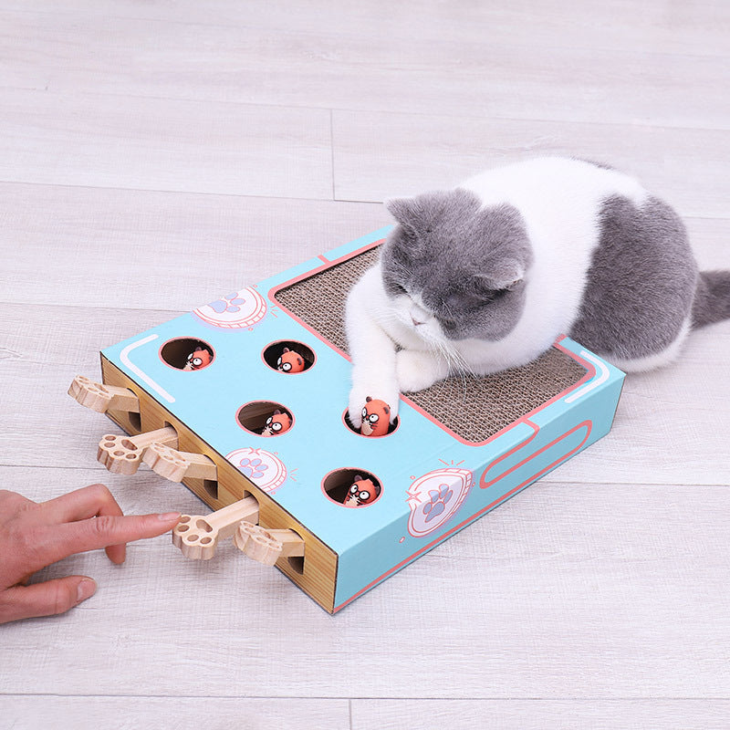 Interaktive 3-in-1 Katzen-Spielbox mit Kratzbrett. Fördert Spiel & Jagdtrieb, für langanhaltenden Katzenspaß.