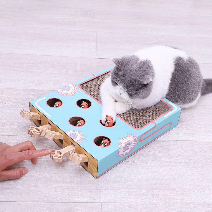 Interaktive 3-in-1 Katzen-Spielbox mit Kratzbrett. Fördert Spiel & Jagdtrieb, für langanhaltenden Katzenspaß.
