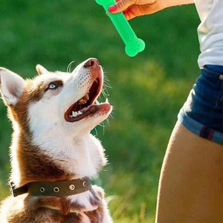 Langlebiges Gummiknochen Hundespielzeug, perfekt für Spiel und Zahnpflege bei aktiven Hunden.