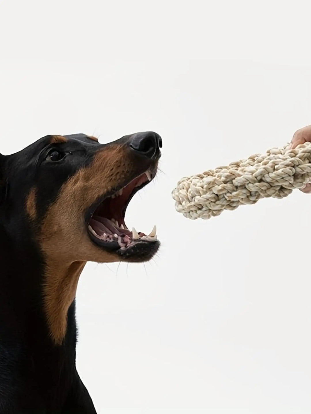 Hochwertiges Spielseil für Hunde, strapazierfähig und aus Baumwolle, ideal als Kauspielzeug und für Zahnpflege.