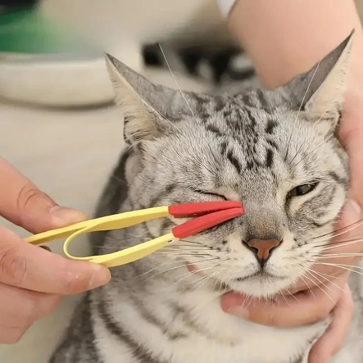 Augenpflegekamm für Haustiere, essenziell für gutes Grooming. Hält Augenpartien bei Hund & Katze sauber und gesund.