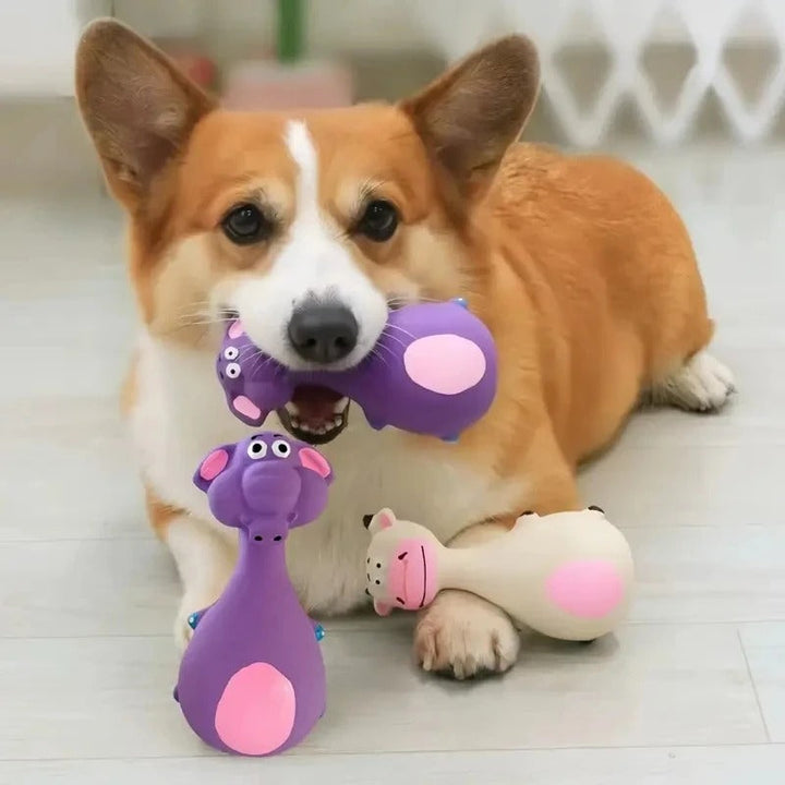 Vielseitiges, strapazierfähiges Quietsch-Hundespielzeug aus TPR für interaktive Spiele & effektive Zahnpflege.