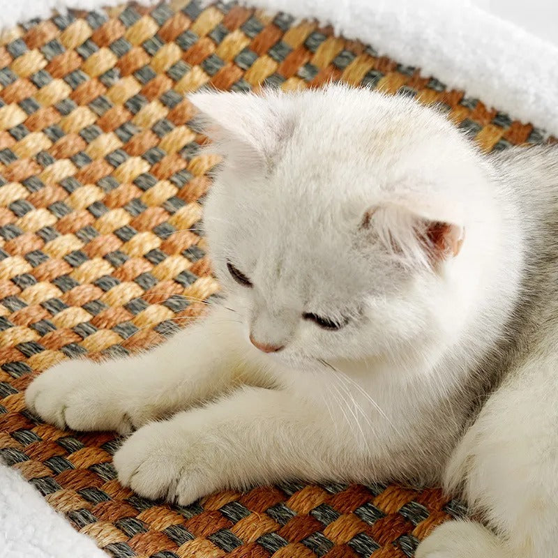 Elegantes Katzenbett mit Kratzmatte als stilvolles Katzenmöbel. Praktisches Haustierbett & Krallenpflege.