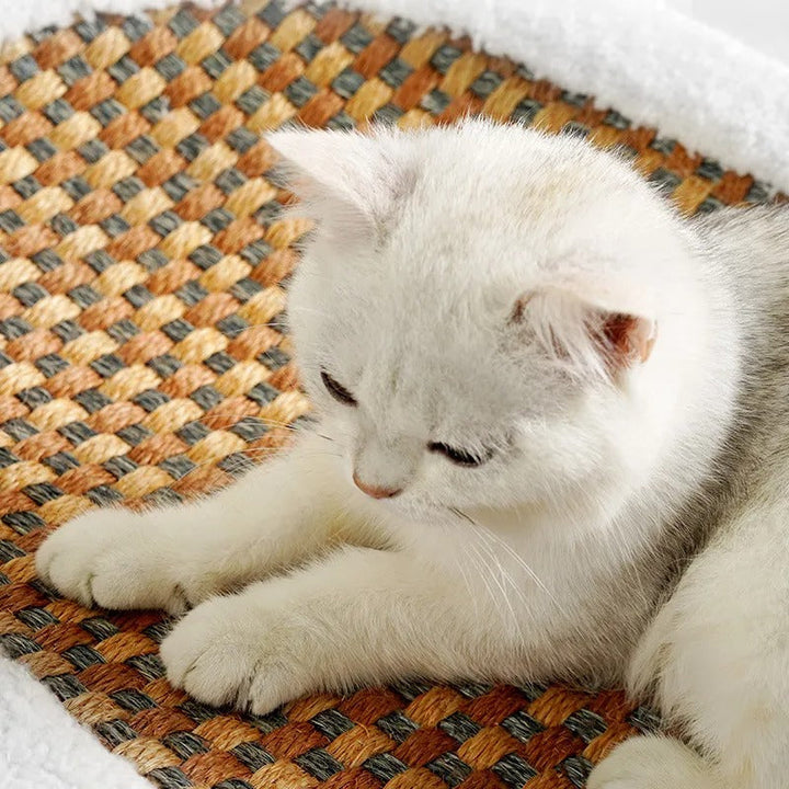 Elegantes Katzenbett mit Kratzmatte als stilvolles Katzenmöbel. Praktisches Haustierbett & Krallenpflege.