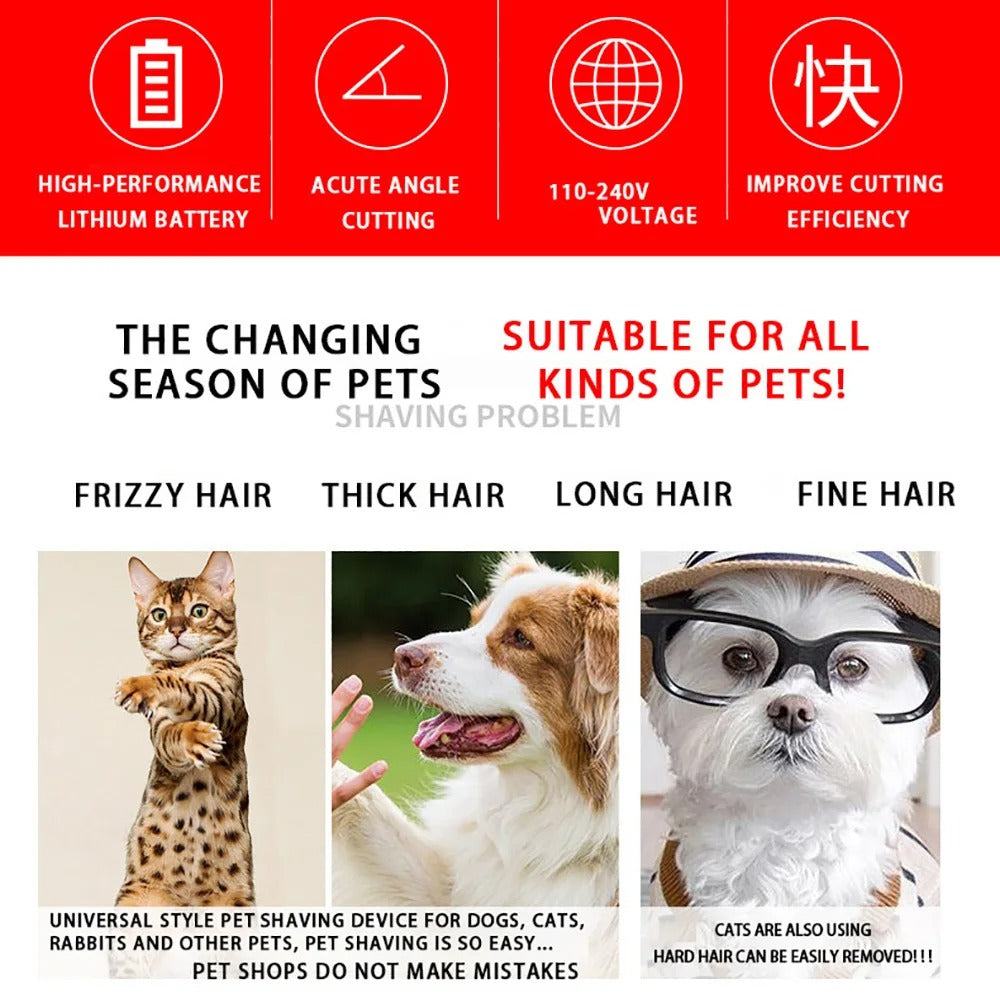 Professionelles Tierhaarschneider Set für Hunde, Katzen & Kaninchen. Leise & kabellos für sanfte Fellpflege zu Hause.