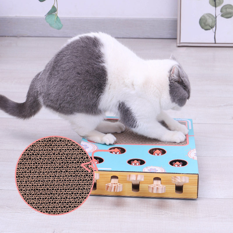 Vielseitige Spielbox für Katzen: interaktives Katzenspielzeug & robustes Kratzbrett in einem. Ideal für Jagdtrieb.