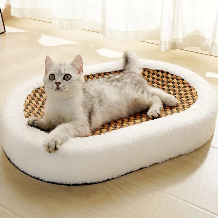 Luxuriöses Katzenbett mit weicher Liegefläche und integrierter Kratzmatte für Komfort & Krallenpflege.