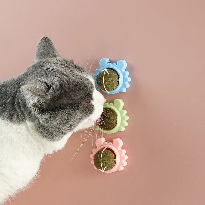 Interaktiver Katzenminze Ball für Glück & Stressabbau. Natürliches Katzenspielzeug fördert Aktivität & Zahnhygiene.