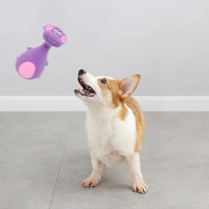 Intelligentes Quietsch-Hundespielzeug fördert Zahngesundheit & mentale Stimulation bei allen Hunden.