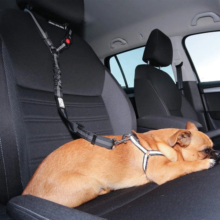 Hundesicherheitsgurt für sichere Autofahrten, an der Kopfstütze befestigt, schützt den Hund.