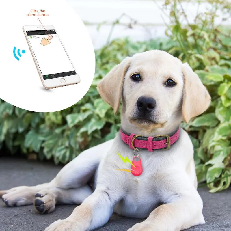 Haustier GPS-Tracker für Hunde & Katzen am Halsband; sichere Ortung in Echtzeit.