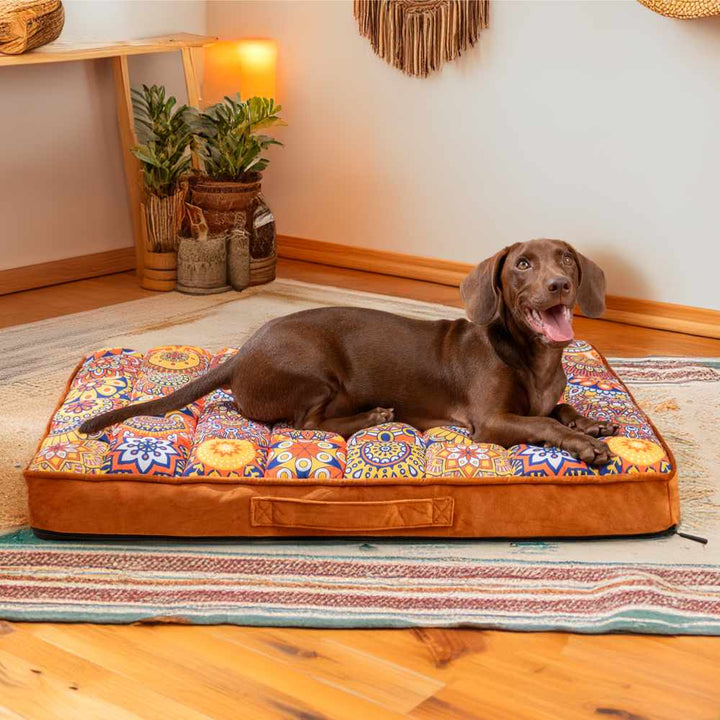 Luxuriöses marokkanisches Hundebett, weich & komfortabel, bietet exzellente Gelenkunterstützung für alte Hunde.