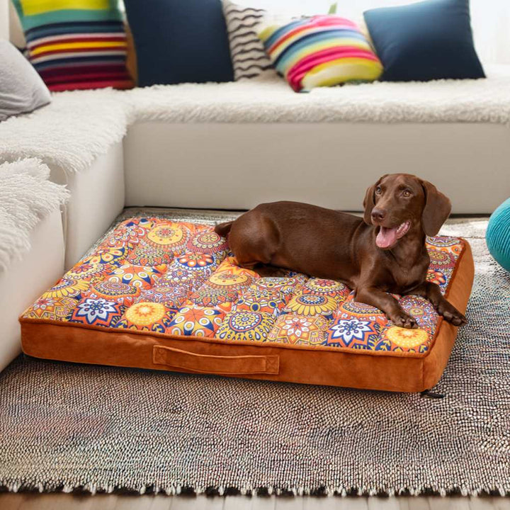 Hochwertiges orthopädisches Hundebett, gelenkschonend & langlebig, perfekt für Tierpflege & gesunde Gelenke.