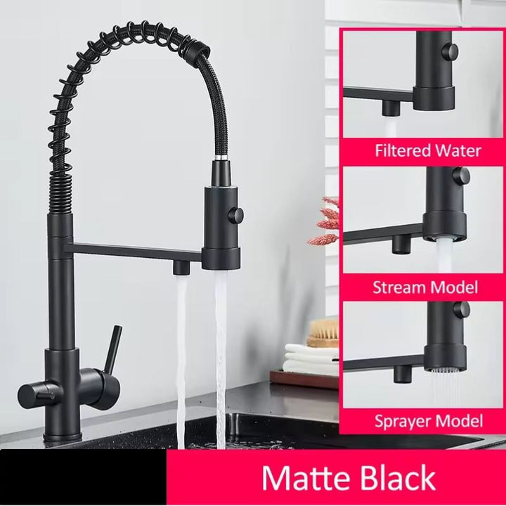 Mattschwarze Küchenarmatur mit Trinkwasserfilter, Dualauslauf und modernem Design.