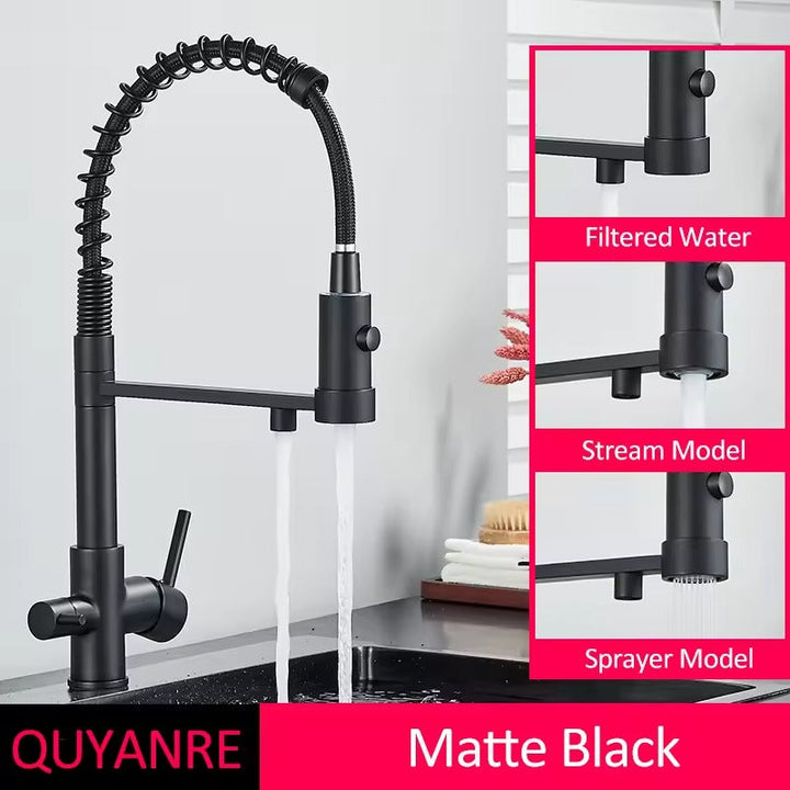 Funktionale Designarmatur für die Küche: Mattschwarz, Trinkwasserfilter & Dualauslauf.