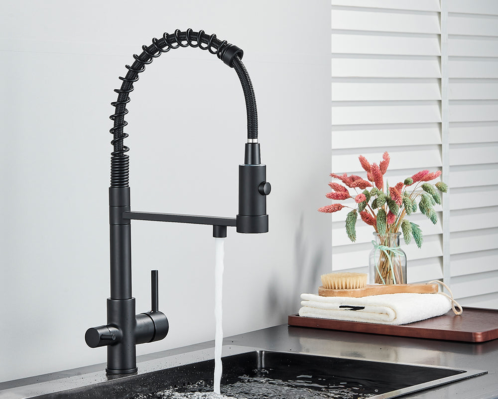 Designarmatur Mattschwarz: Messing-Küchenarmatur mit Trinkwasserfilter & Dualauslauf.