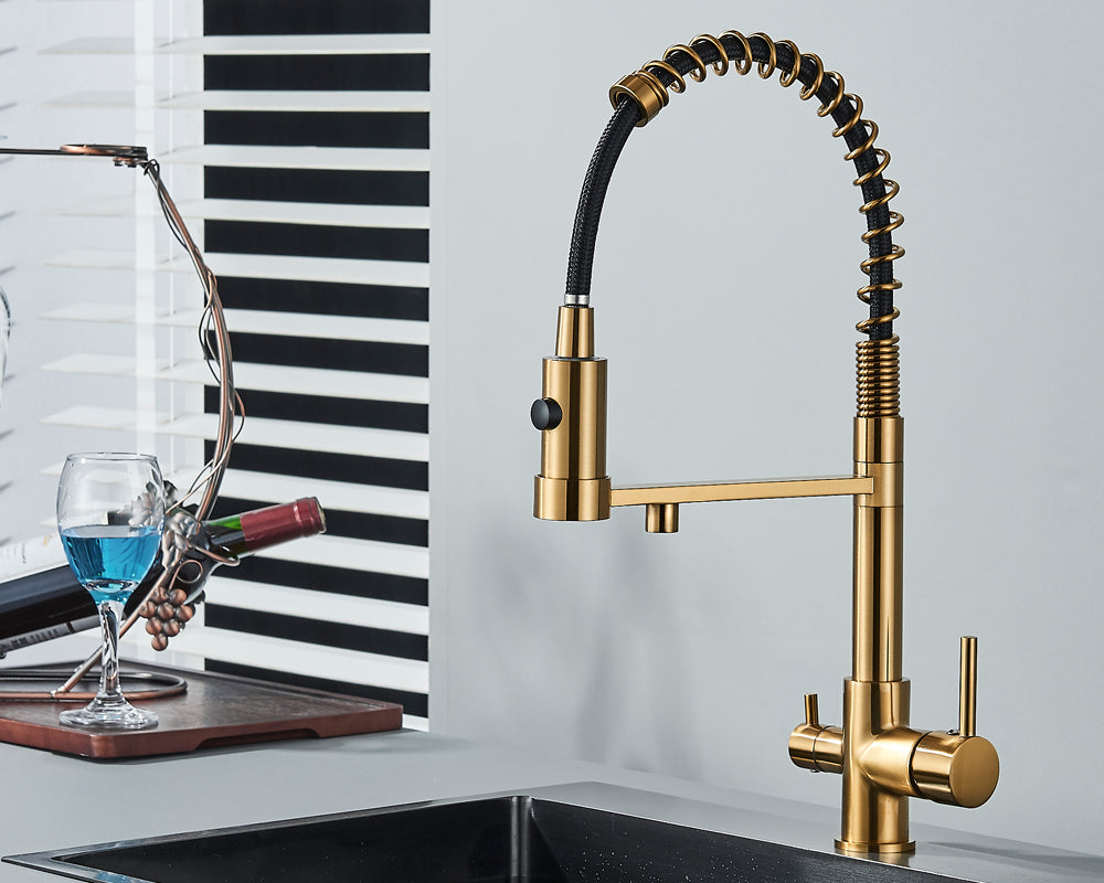 Gebürstetes Gold Küchenarmatur: Eleganter Wasserhahn mit Filterfunktion, Dualauslauf.
